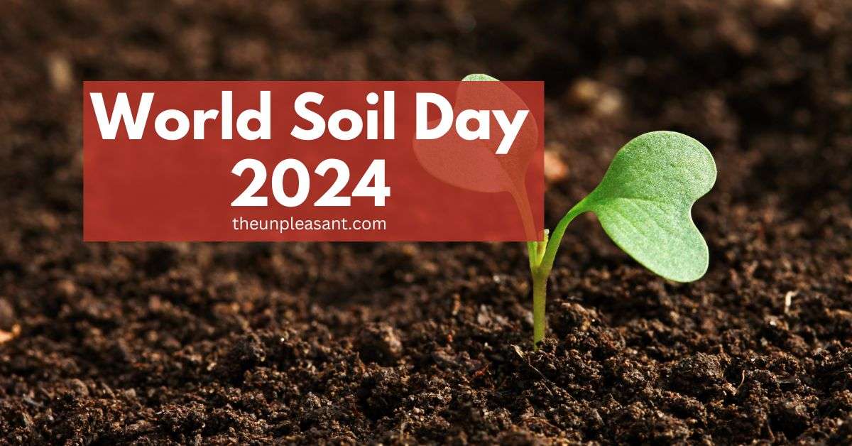 World Soil Day 2024 – 5 December, Theme, Quotes, Logo